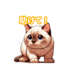 とにかくかわいい トンキニーズ（個別スタンプ：37）