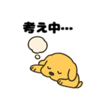 ゆるっとゴールデン・レトリバー 日常編（個別スタンプ：16）