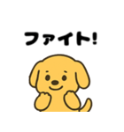 ゆるっとゴールデン・レトリバー 日常編（個別スタンプ：17）