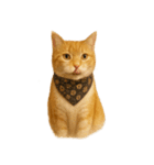 かわいいオレンジ色の猫のステッカー（個別スタンプ：1）
