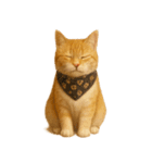 かわいいオレンジ色の猫のステッカー（個別スタンプ：3）