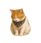 かわいいオレンジ色の猫のステッカー（個別スタンプ：6）