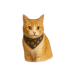 かわいいオレンジ色の猫のステッカー（個別スタンプ：8）