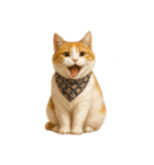 かわいいオレンジ色の猫のステッカー（個別スタンプ：11）