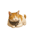 かわいいオレンジ色の猫のステッカー（個別スタンプ：12）