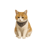 かわいいオレンジ色の猫のステッカー（個別スタンプ：16）