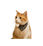 かわいいオレンジ色の猫のステッカー（個別スタンプ：34）
