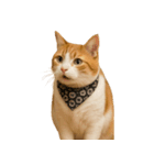 かわいいオレンジ色の猫のステッカー（個別スタンプ：38）
