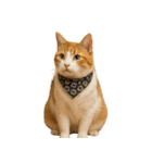 かわいいオレンジ色の猫のステッカー（個別スタンプ：39）