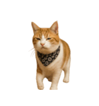 かわいいオレンジ色の猫のステッカー（個別スタンプ：40）