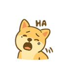 しばいぬ感情パレード（個別スタンプ：8）