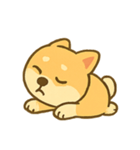 しばいぬ感情パレード（個別スタンプ：10）