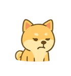 しばいぬ感情パレード（個別スタンプ：12）