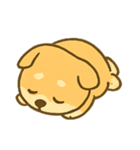 しばいぬ感情パレード（個別スタンプ：16）