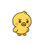 まんまるヒヨコ Pipuu の感情劇場（個別スタンプ：1）