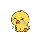 まんまるヒヨコ Pipuu の感情劇場（個別スタンプ：10）
