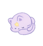 星空子猫マジックパック（個別スタンプ：16）