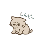 ねこのまったり日常（個別スタンプ：5）
