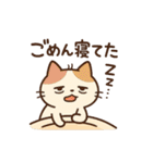 ねこのまったり日常（個別スタンプ：14）