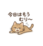 ねこのまったり日常（個別スタンプ：27）