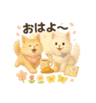 ふわふわメインクーンの春スタンプ（個別スタンプ：1）
