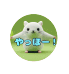 プレミアム福袋②（個別スタンプ：11）