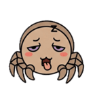 クモとセミ物語（個別スタンプ：3）