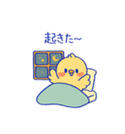 おしゃべりな「きいぴよ」（個別スタンプ：1）