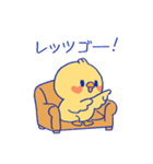 おしゃべりな「きいぴよ」（個別スタンプ：3）