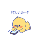 おしゃべりな「きいぴよ」（個別スタンプ：4）