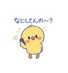 おしゃべりな「きいぴよ」（個別スタンプ：5）