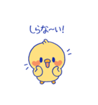 おしゃべりな「きいぴよ」（個別スタンプ：9）