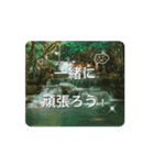 日本の励ましの言葉スタンプ（個別スタンプ：12）