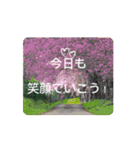 日本の励ましの言葉スタンプ（個別スタンプ：13）