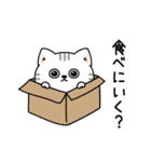 ねこ依存家族で使える（個別スタンプ：14）