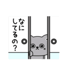 ねこ依存家族で使える（個別スタンプ：21）