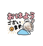 癒し満点・猫のスタンプ（個別スタンプ：1）