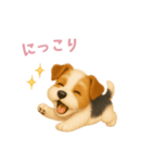 ワイアーフォックステリア【日本語】（個別スタンプ：11）