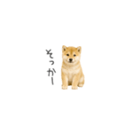 ちっちゃい豆柴のスタンプだよ（個別スタンプ：4）