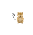 ちっちゃい豆柴のスタンプだよ（個別スタンプ：13）