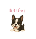 ボストンテリア【日本語】（個別スタンプ：2）