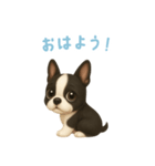 ボストンテリア【日本語】（個別スタンプ：3）