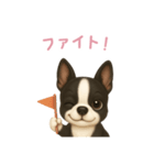 ボストンテリア【日本語】（個別スタンプ：5）