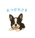 ボストンテリア【日本語】（個別スタンプ：6）