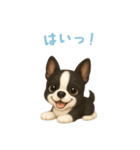 ボストンテリア【日本語】（個別スタンプ：9）
