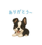 ボストンテリア【日本語】（個別スタンプ：15）