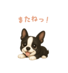 ボストンテリア【日本語】（個別スタンプ：16）