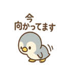 ぴよペンのほうこく連絡スタンプ（個別スタンプ：1）