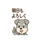 こつこつシュナ おつかれ応援スタンプ（個別スタンプ：4）