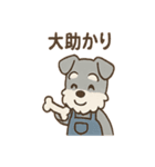こつこつシュナ おつかれ応援スタンプ（個別スタンプ：6）
